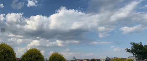 image-20230614105947296.png