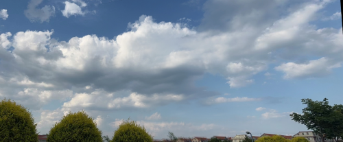 image-20230614171324311.png