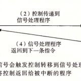 image-20240129102721248