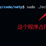 image-20240129155119994