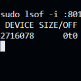 image-20240129155536643