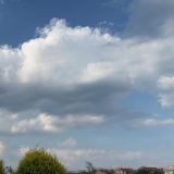 image-20230614105947296