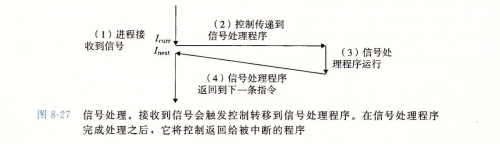 image-20240129102721248.png