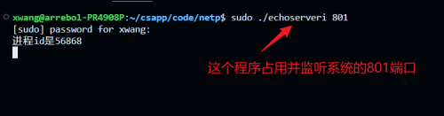 image-20240129155119994.png