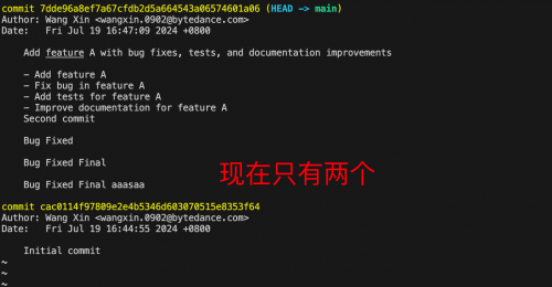 image-20240719173622179.png
