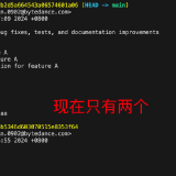 image-20240719173622179