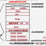 image-20240315100012740